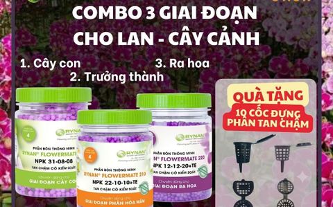 Phân Bón Rynan Cho Lan: Loại Phân Tan Chậm Đáng Dùng