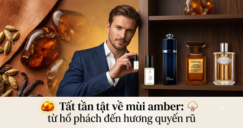 Tất tần tật về mùi amber: từ hổ phách đến hương quyến rũ