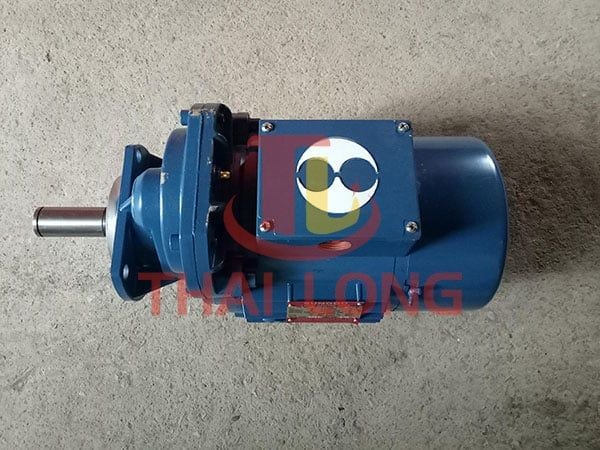 motor cầu trục 0,75kw sungdo