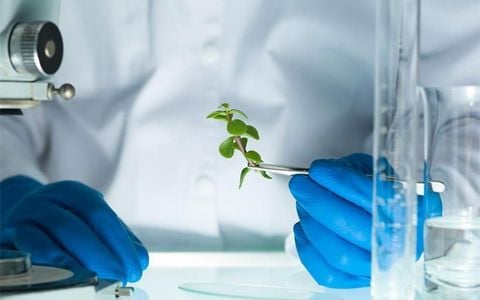 CHUYÊN VIÊN R&D (Hồ sơ Chất lượng sản phẩm)