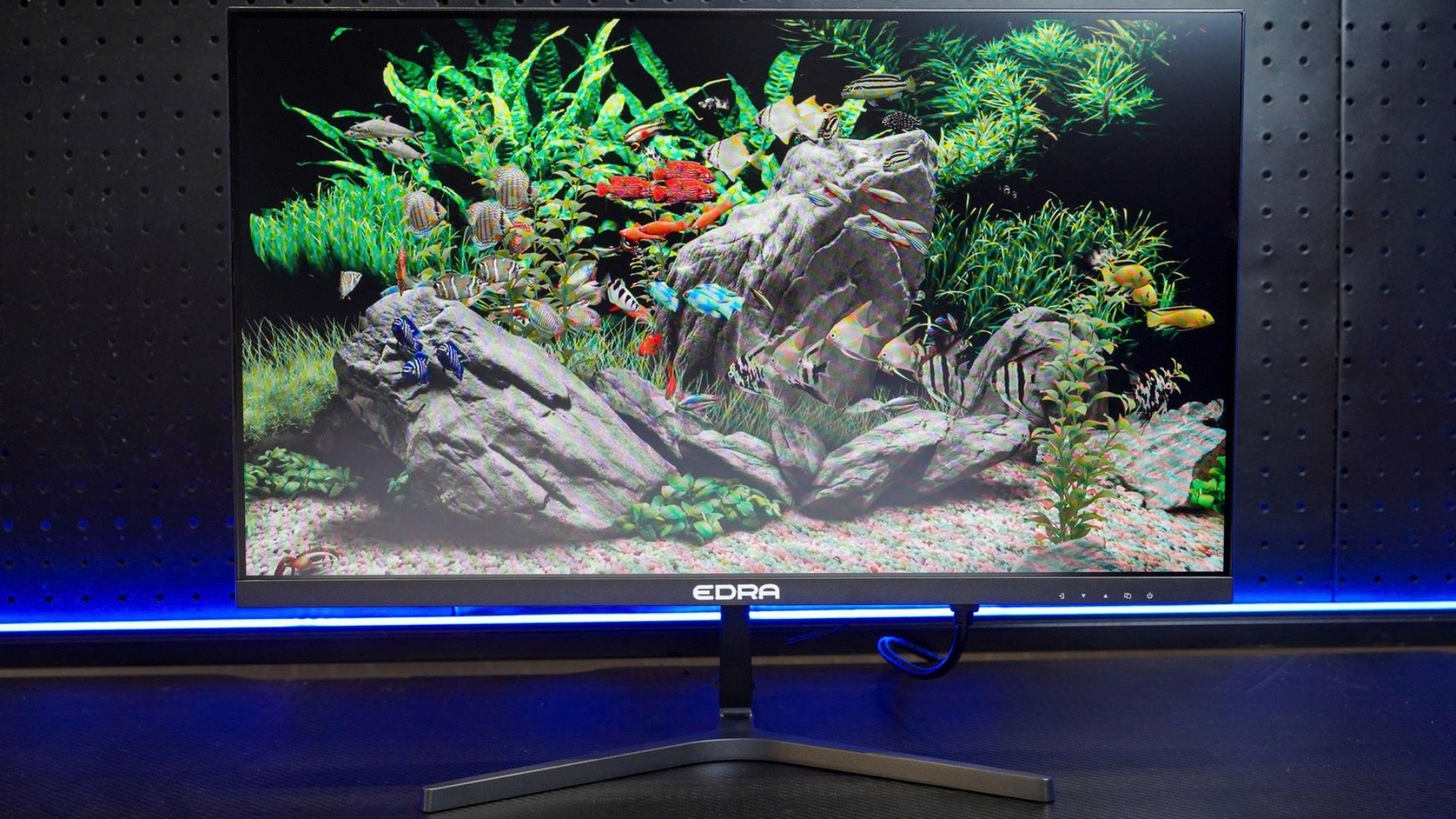 Màn hình Văn phòng Edra EGM24F100S (24 inch, FHD, 100Hz, IPS)