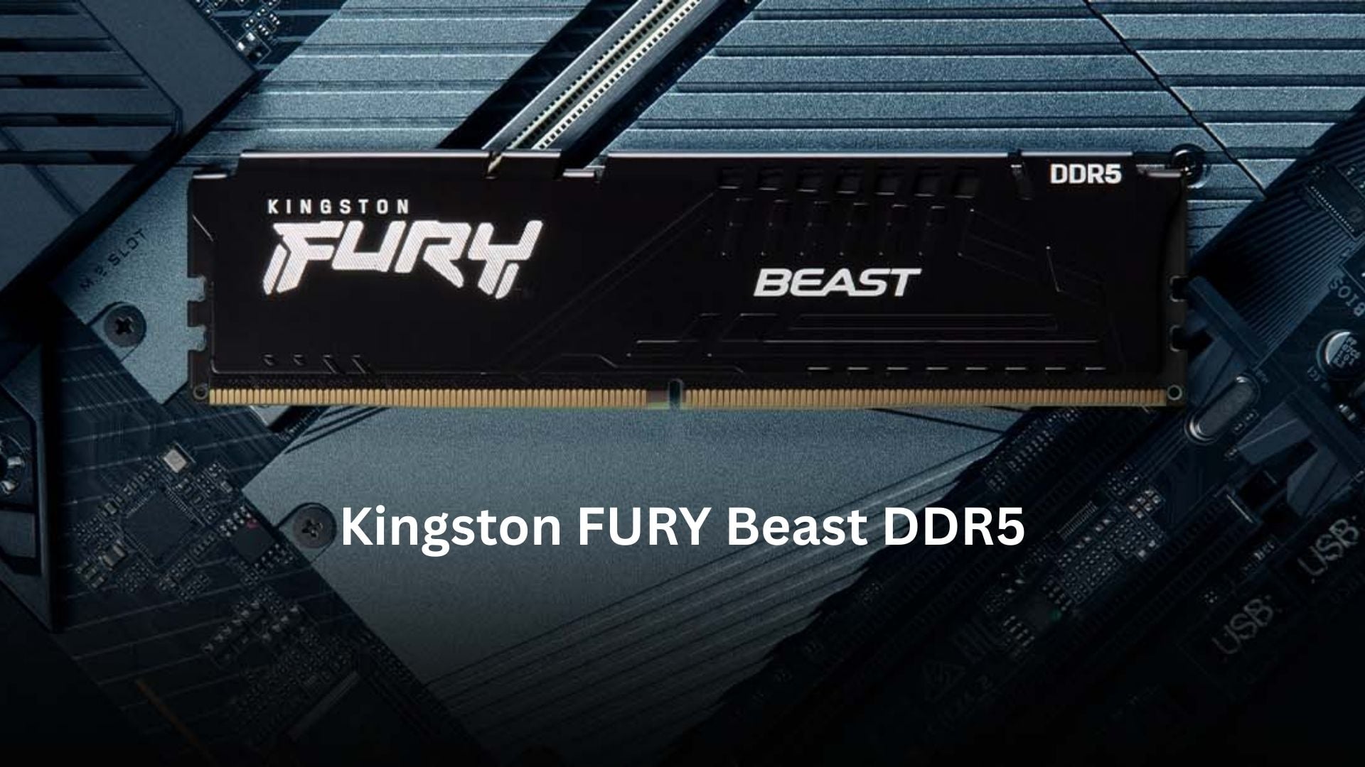 RAM Kingston Fury Beast DDR5 16GB 6000MHz EXPO (KF560C36BBE2-16) - Tốc độ 6000MHz