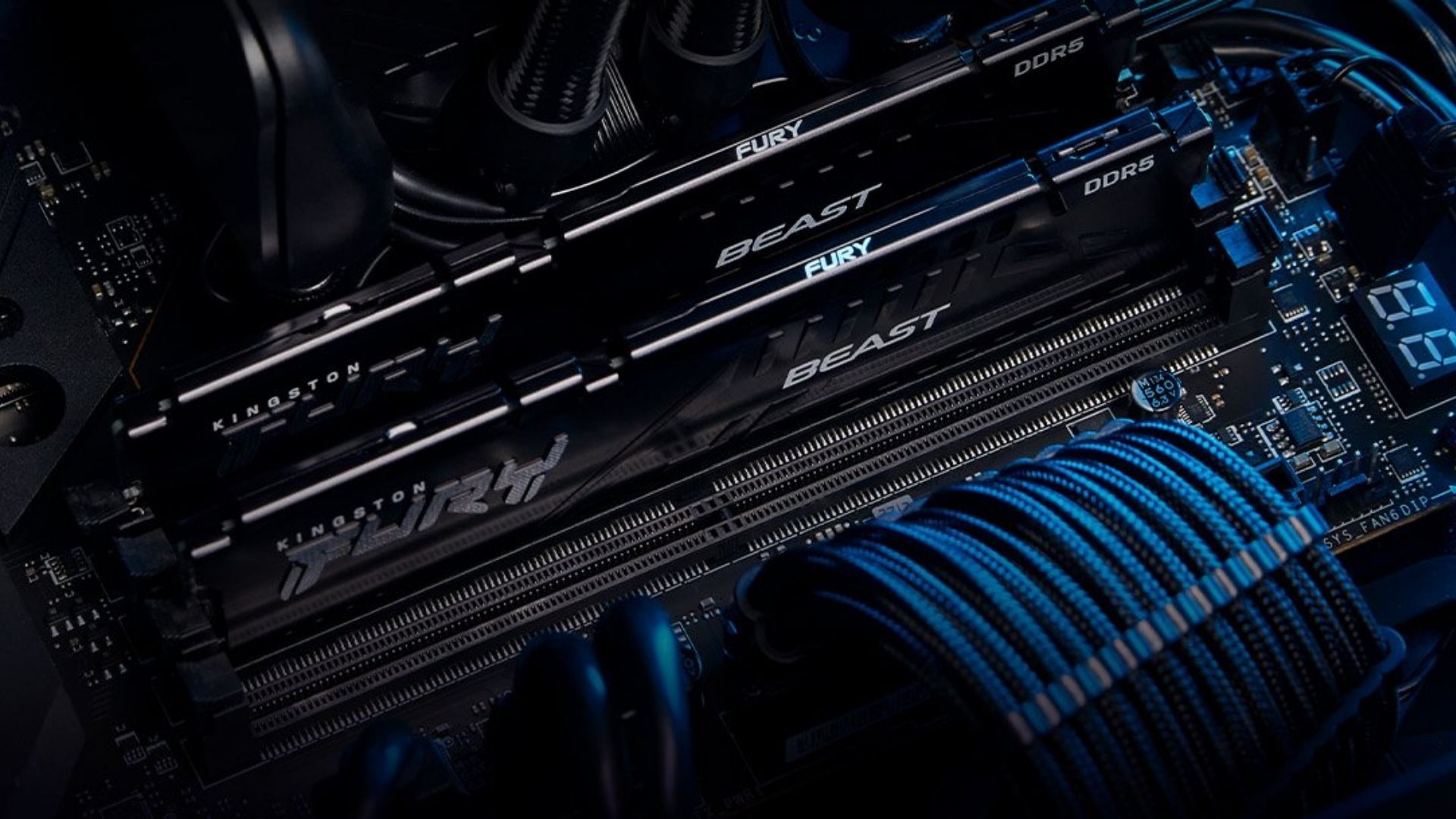 RAM Kingston Fury Beast DDR5 16GB 6000MHz EXPO (KF560C36BBE2-16) - Công nghệ ECC ODECC