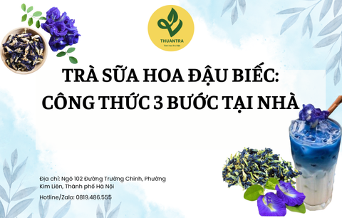 Trà Sữa Hoa Đậu Biếc: Công Thức 3 Bước Tại Nhà