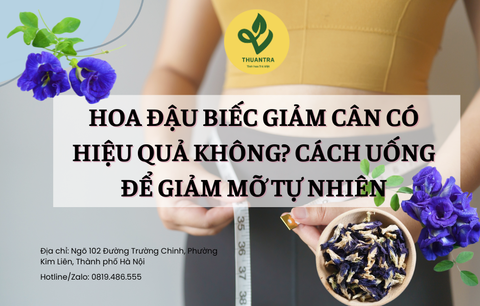 Hoa Đậu Biếc Giảm Cân Có Hiệu Quả Không? Cách Uống Để Giảm Mỡ Tự Nhiên