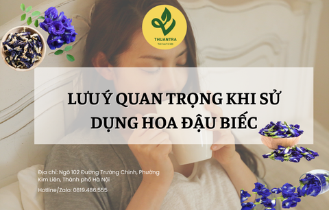 Lưu Ý Quan Trọng Khi Sử Dụng Hoa Đậu Biếc