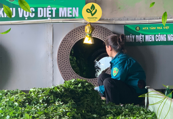 Văn hóa uống Trà Bắc Thái Nguyên