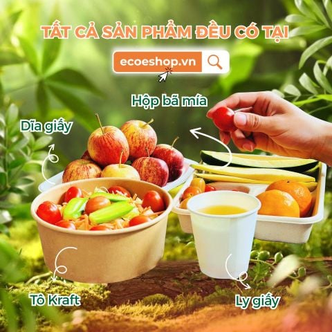 Giải Pháp Dọn Dẹp Bếp Núc Ngày Tết Cho Cả Nhà Luôn Vui Vẻ