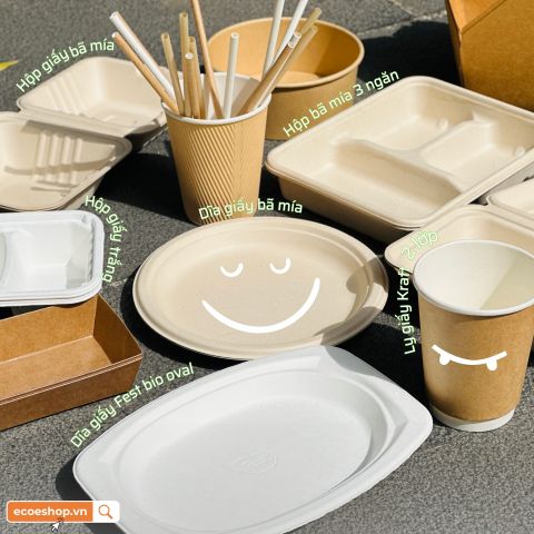 Bộ Đồ Ăn Dã Ngoại Bằng Giấy Không Thể Thiếu Khi Đi Picnic