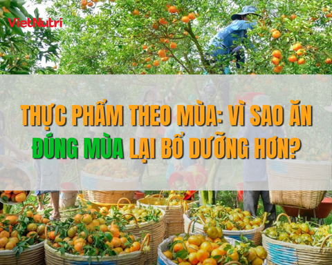 THỰC PHẨM THEO MÙA: VÌ SAO ĂN ĐÚNG MÙA LẠI BỔ DƯỠNG HƠN?