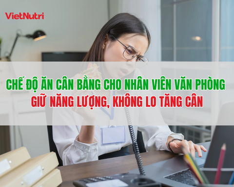 CHẾ ĐỘ ĂN CÂN BẰNG CHO NHÂN VIÊN VĂN PHÒNG – GIỮ NĂNG LƯỢNG, KHÔNG LO TĂNG CÂN