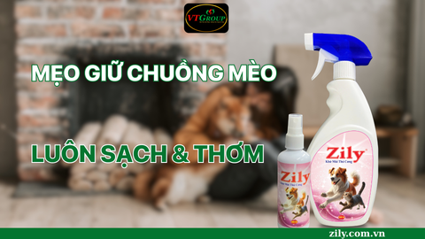 Mẹo Giữ Chuồng Mèo Luôn Sạch Và Thơm Lâu