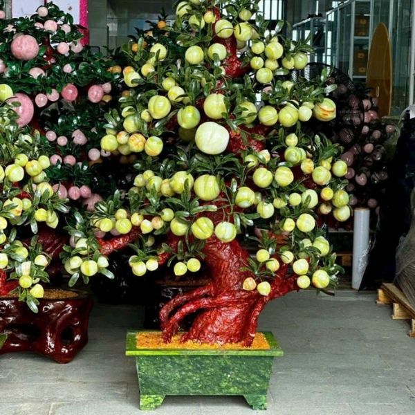 Cây đào ngọc onyx xanh 188 quả