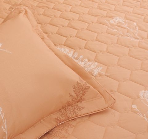 Vải Cotton là gì? Vì sao chăn ga cotton được ưa chuộng