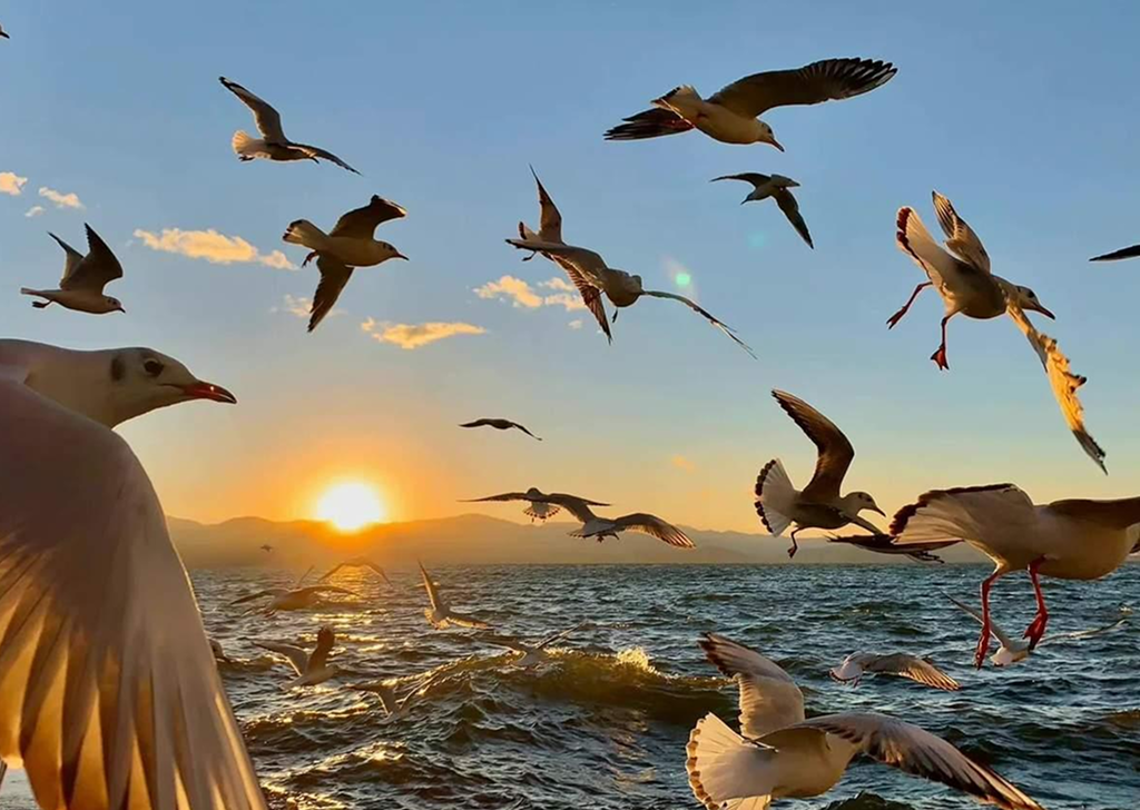 Hoàng hôn lãng mạn trên mặt hồ Điền Trì