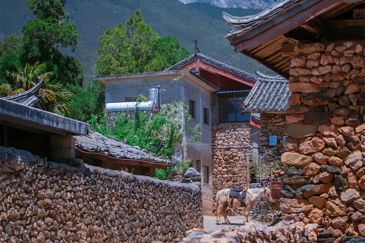Du lịch Lệ Giang khám phá thành phố cổ nổi tiếng của Vân Nam