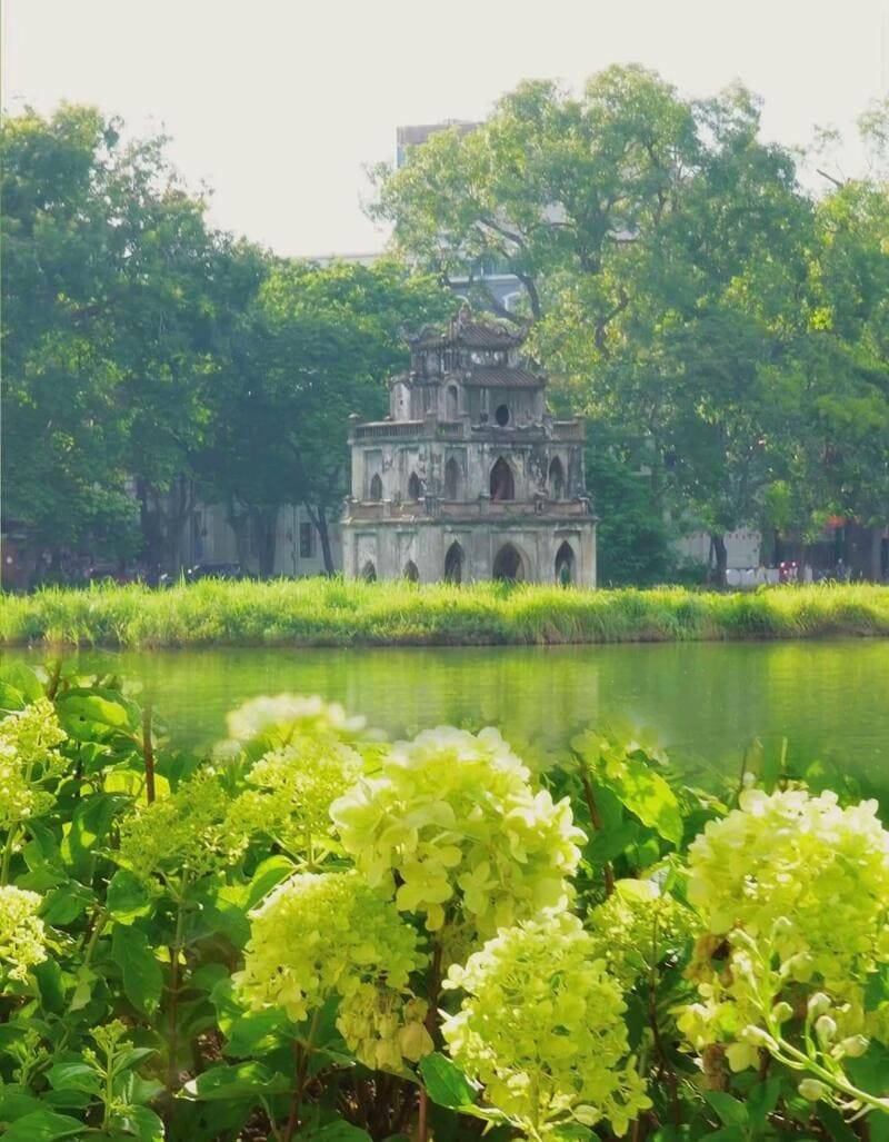 Phối đồ chụp ảnh hoa cẩm tú cầu hồ Gươm