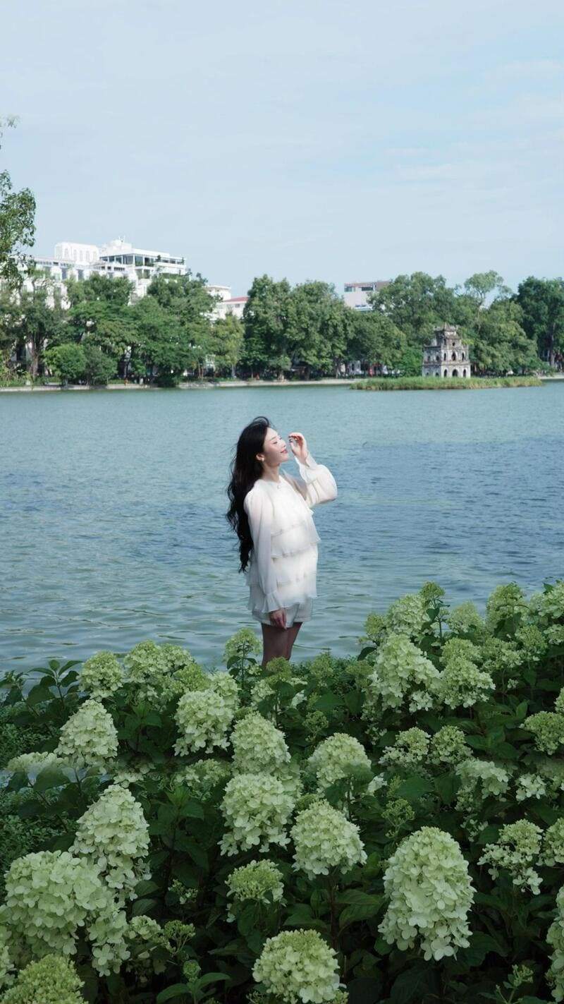 Hướng dẫn cách tạo dáng chụp ảnh cùng hoa cẩm tú cầu hồ Gươm cực thơ