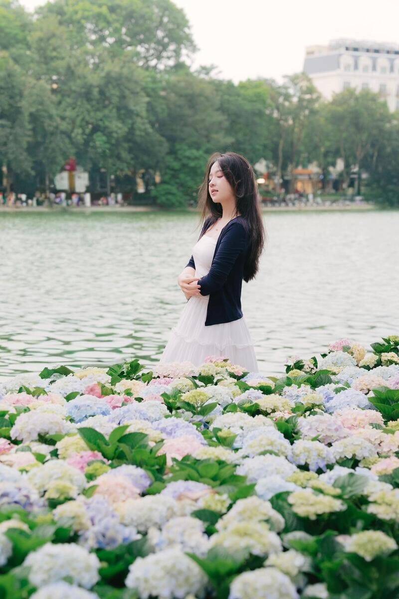 Hướng dẫn cách tạo dáng chụp ảnh cùng hoa cẩm tú cầu hồ Gươm cực thơ