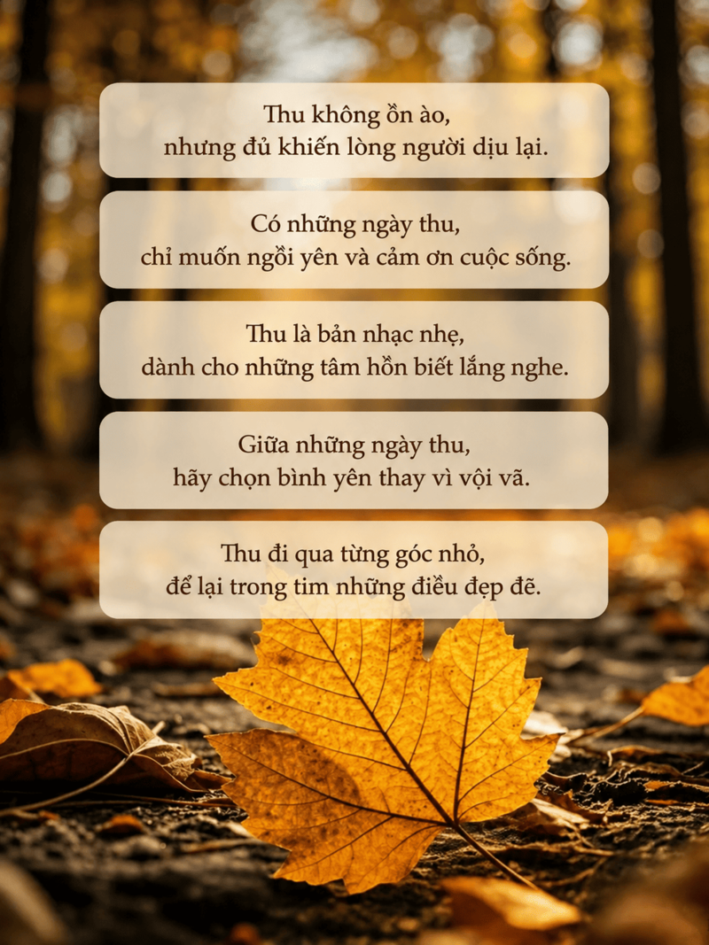 99+ Cap thả thính về mùa thu, caption hay về mùa thu