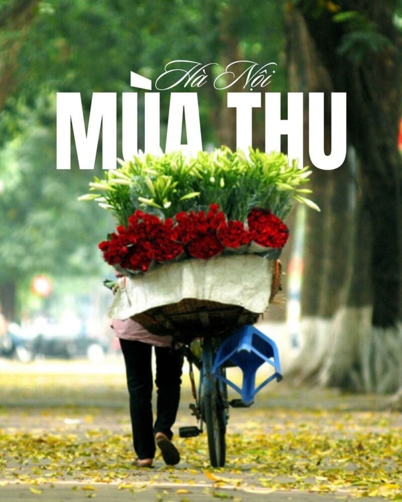 địa điểm chụp ảnh mùa thu Hà Nội đẹp