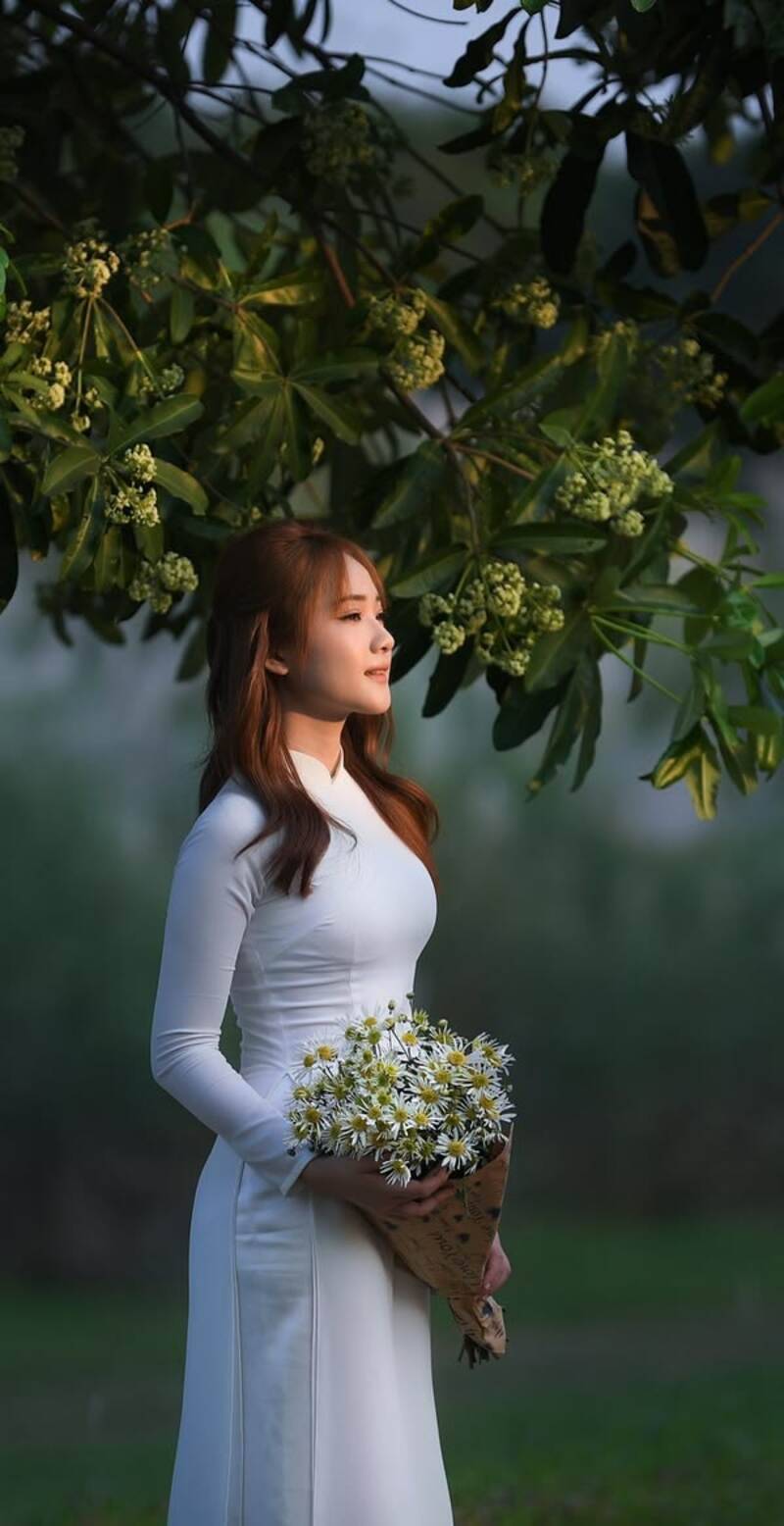 Chụp ảnh với hoa sữa mặc gì?