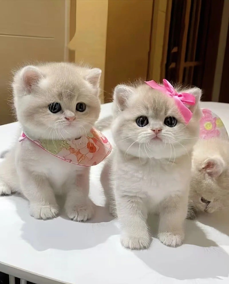 quà sinh nhật cho nữ
