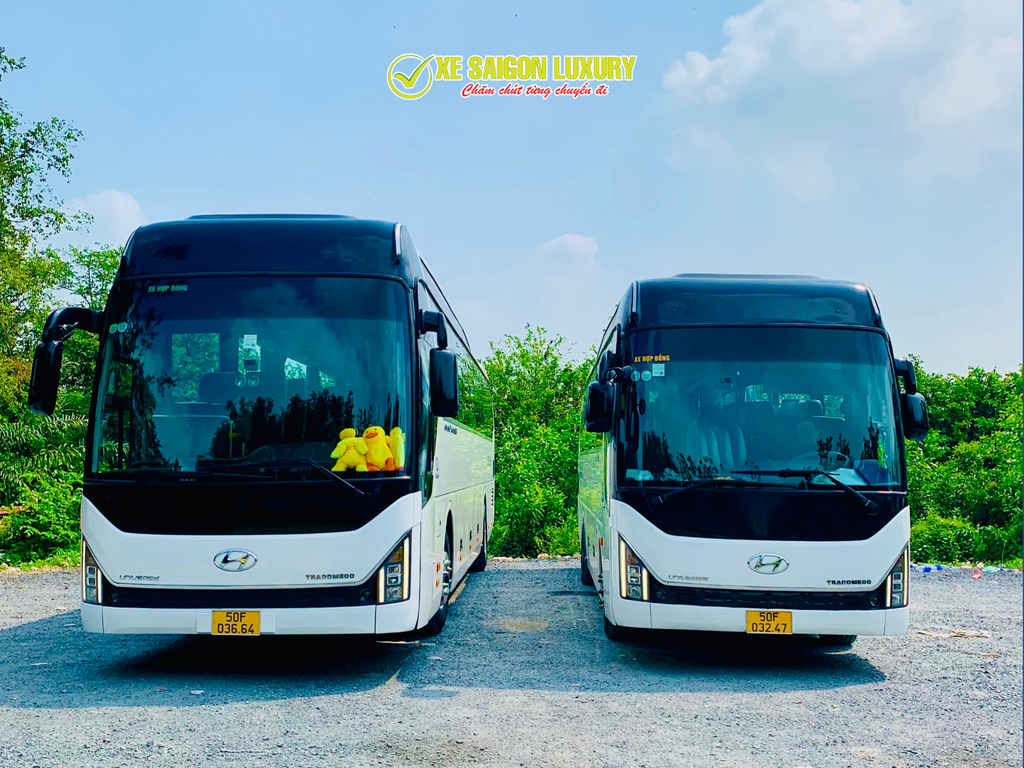 thue-xe-limousine-can-tho