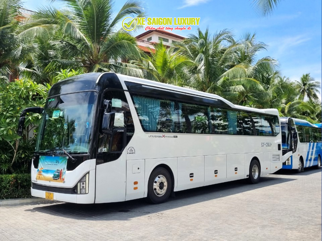 thue-xe-limousine-29-cho-1