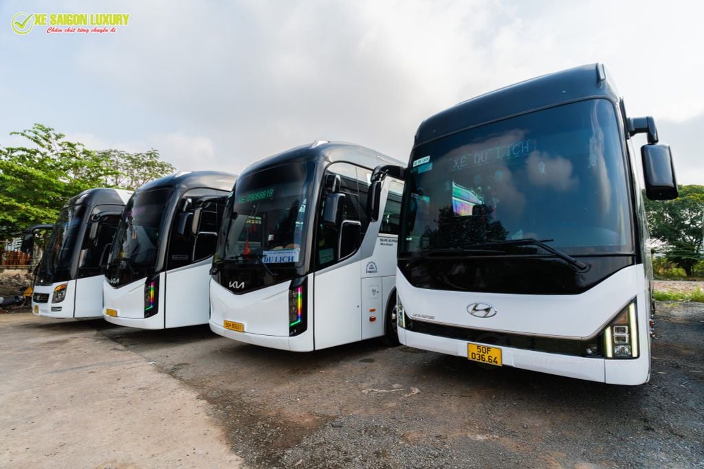 thuê xe 45 chỗ Xe Sai Gon Luxury
