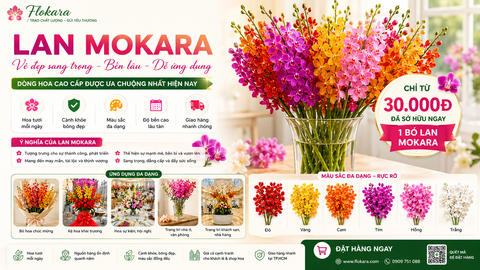 Lan Mokara – Vẻ Đẹp Sang Trọng, Bền Lâu Và Dễ Ứng Dụng Trong Mọi Thiết Kế Hoa