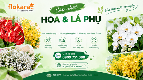 Cập Nhật Hoa & Lá Phụ Đang Có Sẵn Tại Flokara – Hoa Tươi Cho Shop Hoa & Florist
