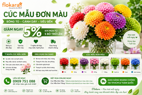 🌼 CÚC MẪU ĐƠN GIẢM 5% – CƠ HỘI SỞ HỮU NHỮNG BÔNG HOA ĐẸP NHẤT TẠI FLOKARA 🌼