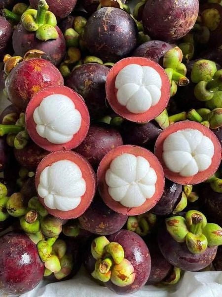Top 08 Loại Trái Cây Nhiệt Đới Ngon Nhất Hiện Nay Top 08 Loại Trái Cây Nhiệt Đới Ngon Nhất Hiện Nay