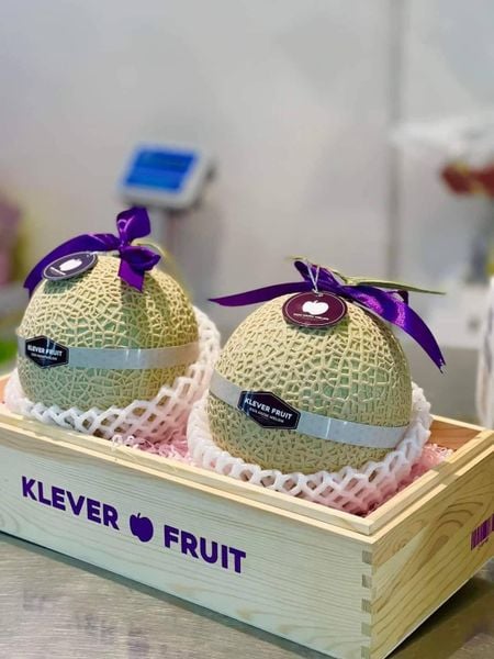 Dưa Giống Nhật Musk Melon: Vì sao được coi là “vua dưa”? Dưa Giống Nhật Musk Melon là lựa chọn hàng đầu cho quà tặng trái cây cao cấp