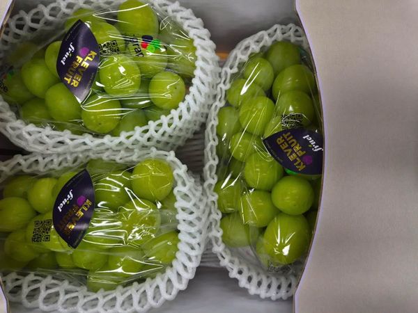 Mùa Nho Hàn Quốc Shine Muscat Sắp Trở Lại Những chùm Nho Sữa Hàn Quốc - Nho Shine Muscat được dán tem dành riêng cho Klever Fruit