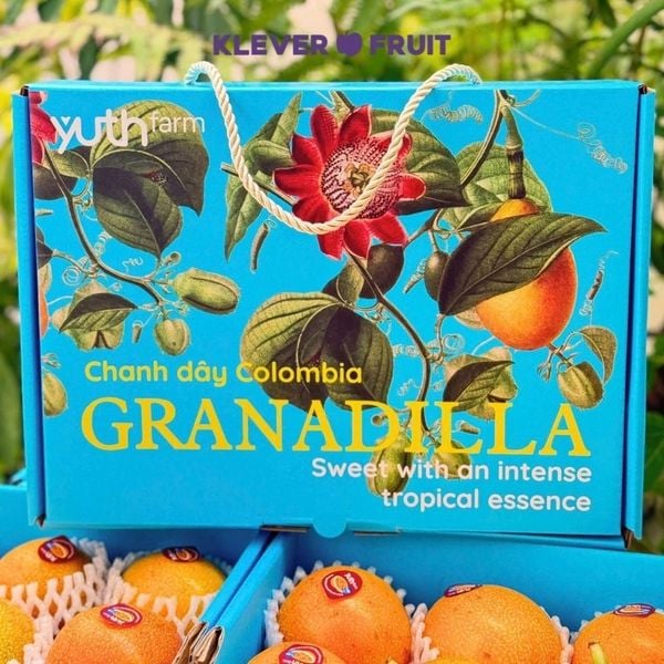 Chanh Dây Vàng Colombia – “Ngọt Thanh, Thơm Sang” Chuẩn Passion Fruit Cao Cấp