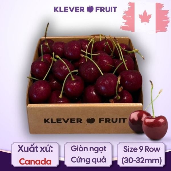 Cherry SuperBig Canada của Klever Fruit