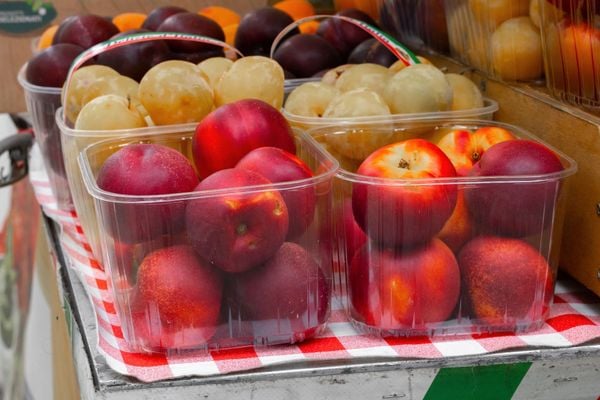 Hướng Dẫn Bảo Quản Trái Cây Nhập Khẩu Đúng Cách Tại Nhà Phân loại trái cây theo từng đặc điểm của quả giúp giữ được độ tươi lâu hơn