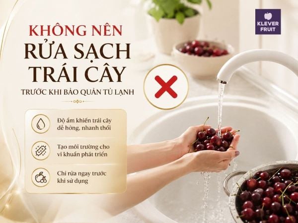 Hướng Dẫn Bảo Quản Trái Cây Nhập Khẩu Đúng Cách Tại Nhà Không chỉ Trái Cây Nhập Khẩu, dù bất kỳ loại hoa quả tươi nào cũng không nên rửa trước khi bảo quản