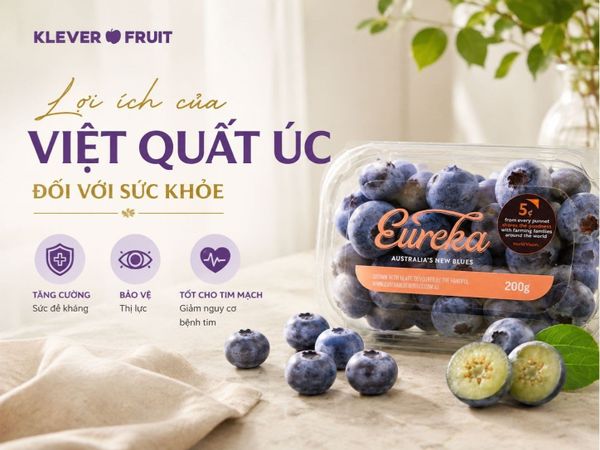 Tìm hiểu về Việt Quất Úc và những điều cần biết Lợi ích của Việt Quất Úc đối với sức khỏe