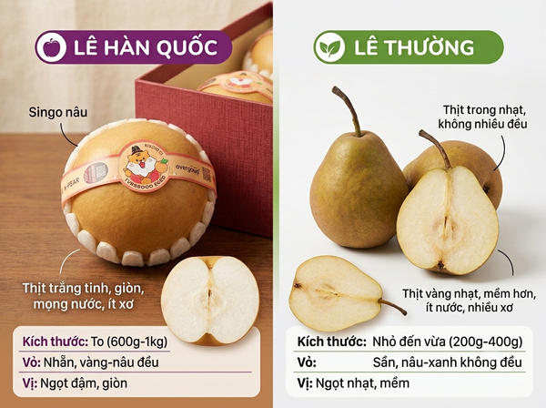 Lê Hàn Quốc: Đặc điểm, hương vị và cách chọn lê ngon Lê Hàn Quốc: Đặc điểm, hương vị và cách chọn lê ngon