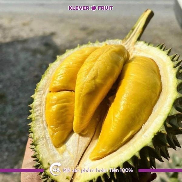 Top 08 Loại Trái Cây Nhiệt Đới Ngon Nhất Hiện Nay Top 08 Loại Trái Cây Nhiệt Đới Ngon Nhất Hiện Nay