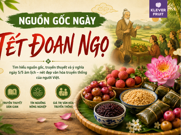 Tết Đoan Ngọ là ngày gì? Nguồn gốc và ý nghĩa ngày 5/5 âm lịch Tết Đoan Ngọ là ngày gì? Nguồn gốc và ý nghĩa ngày 5/5 âm lịch