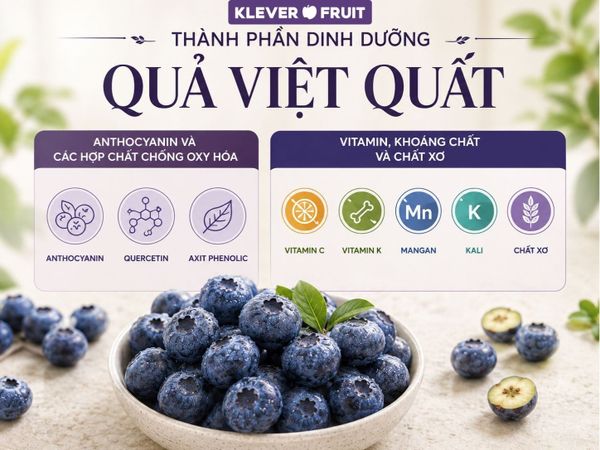 Tìm hiểu về Việt Quất Úc và những điều cần biết Không đơn giản là một loại quả, việt quất được ví như