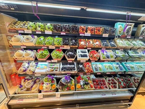 Cherry Canada Mùa Mới 2026 Đã Sẵn Sàng – Thông Tin Mới Nhất Từ Nhà Vườn Jealous Fruits Cherry Canada Mùa Mới 2026 Đã Sẵn Sàng – Thông Tin Mới Nhất Từ Nhà Vườn Jealous Fruits