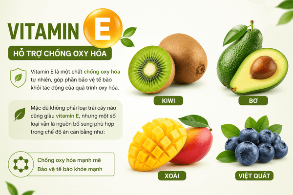 Có Bao Nhiêu Loại Vitamin Trong Trái Cây Tươi? Kiwi, bơ, xoài và việt quất là nguồn bổ sung vitamin E tự nhiên.