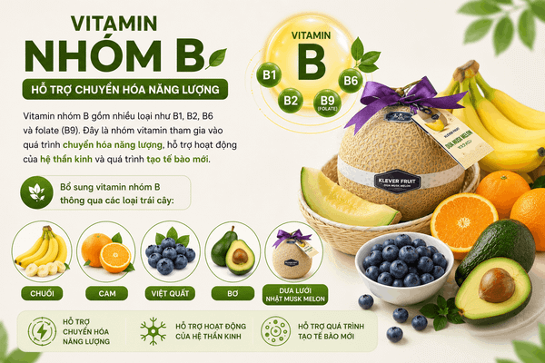 Có Bao Nhiêu Loại Vitamin Trong Trái Cây Tươi? Trái cây giàu vitamin nhóm B gồm chuối, cam, bơ, việt quất và dưa lưới Nhật.
