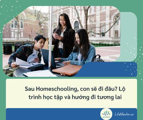 Sau Homeschooling, Con Sẽ Đi Đâu? Lộ Trình Học Tập Và Hướng Đi Tương Lai