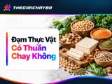 Đạm Thực Vật Có Đồng Nghĩa Thuần Chay? Cách Kiểm Tra Nhãn